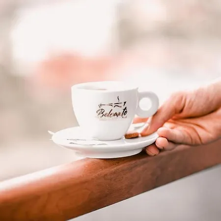 מלון White Dream 4*