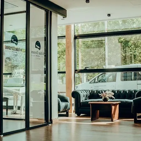 White Dream Hotel
