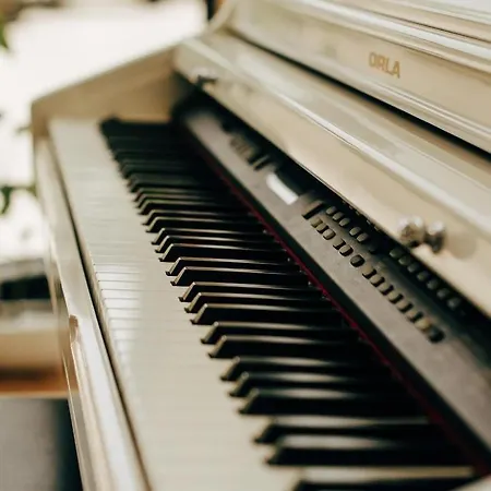 Hotell White Dream Tirana